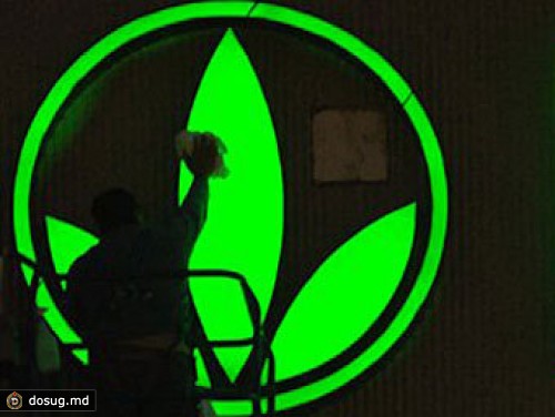 Акции Herbalife упали на 20 процентов после сообщений о рекордной выручке