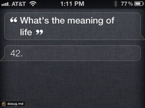 Apple наймет учителя для Siri