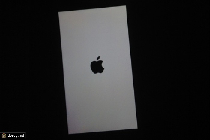 Apple ответила на жалобы про «экран смерти» в iPhone