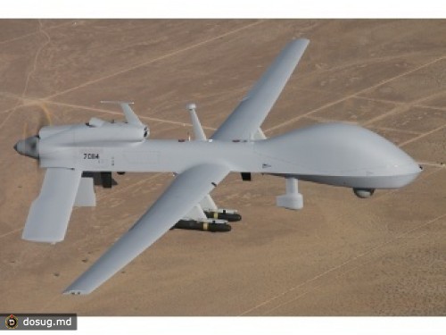Армия США купила беспилотников Gray Eagle на полмиллиарда долларов