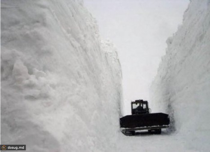 Автовокзалы Кишинева отменили 30 рейсов из Молдовы в Румынию