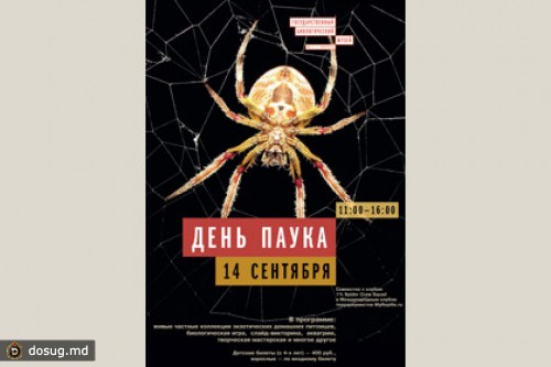 Биологический музей проведет День паука