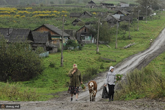 Более четверти россиян не хотят пользоваться интернетом