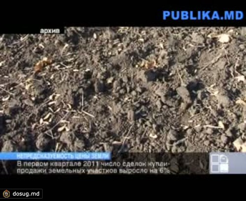 Число сделок купли-продажи земельных участков выросло на 6 процентов