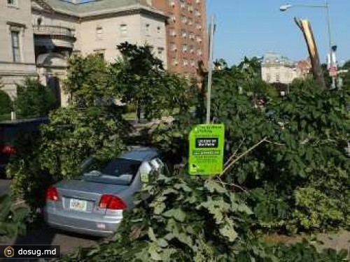 Число жертв урагана в США достигло 22 человек