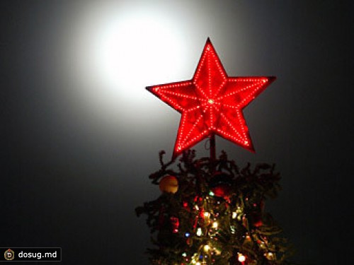 Cтуденты нашли формулу идеальной новогодней елки