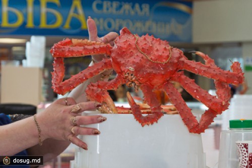 Данные японской и российской таможни по экспорту краба разошлись в 30 раз