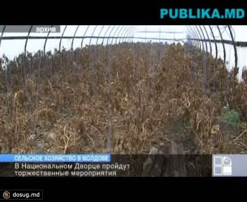 День работника сельского хозяйства отмечают в Молдове