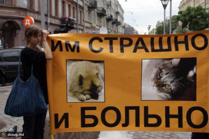 Депутаты предложили штрафовать за пропаганду издевательств над животными