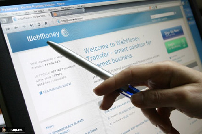 Депутаты решили ограничить работу в России PayPal и Webmoney
