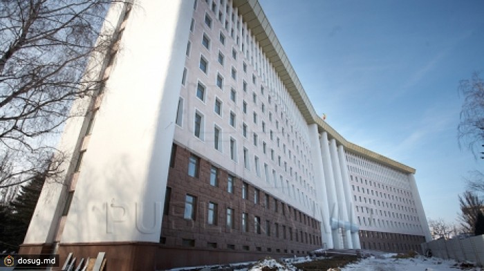 Депутаты выразили желание участвовать в посадке елей вокруг здания парламента
