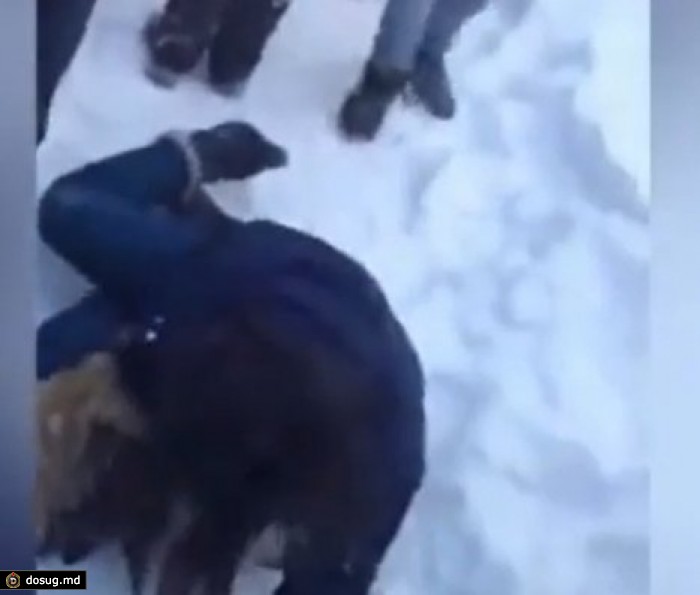 Дети сняли на камеру мобильного избиение школьницы. ВИДЕО (18+)