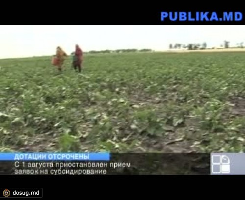 Дотации фермерам отсрочены