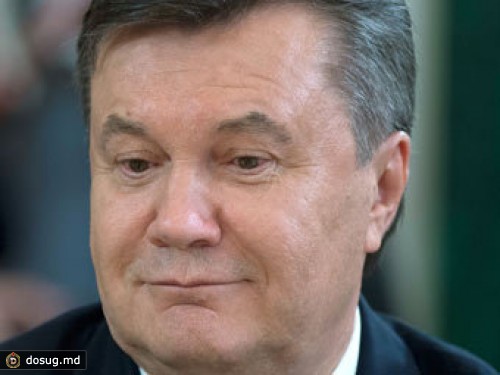 Друиды пообещали Януковичу помощь ноосферы