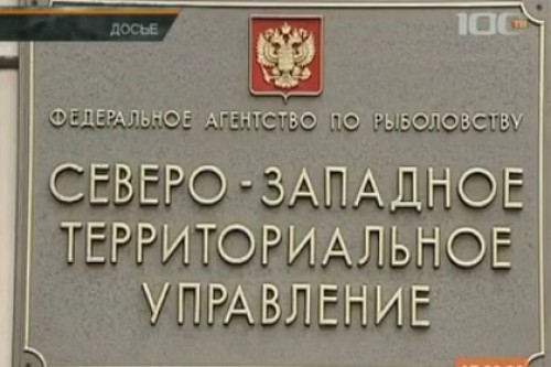 Экс-главе Северо-Западного территориального рыболовства дали шесть лет