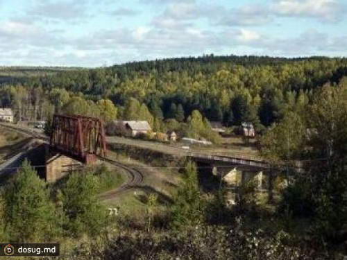 Экс-милиционеру дали три года за убийство брата-наркомана