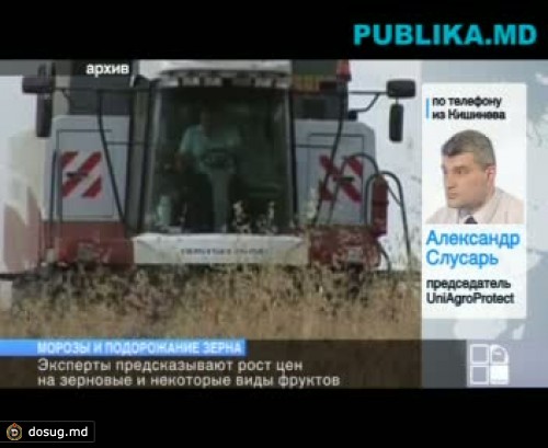 Эксперты предсказывают рост цен на зерновые и некоторые виды фруктов