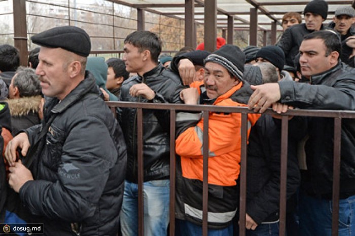 ФМС предложило брать образцы ДНК у гастарбайтеров