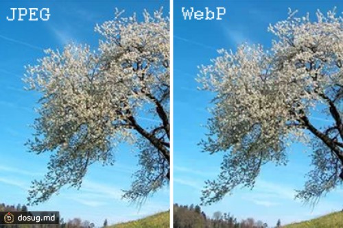Facebook освоил графический формат WebP