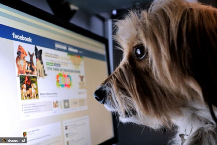 Facebook скроет публикации новичков соцсети от посторонних