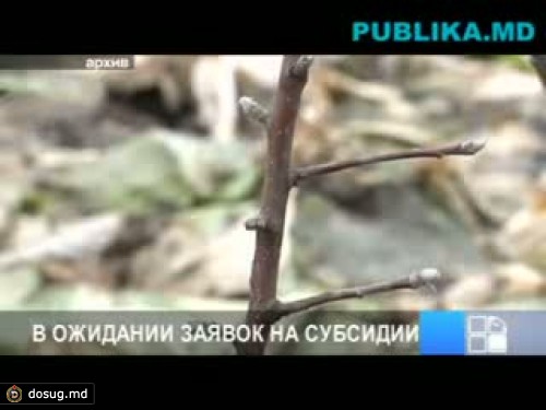 Фермерские хозяйства могут официально подавать заявления на получение субсидий