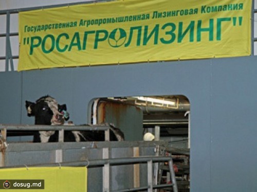 Фигурант дела "Росагролизинга" отпущен под подписку о невыезде