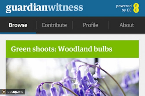 Газета The Guardian запустила платформу гражданской журналистики