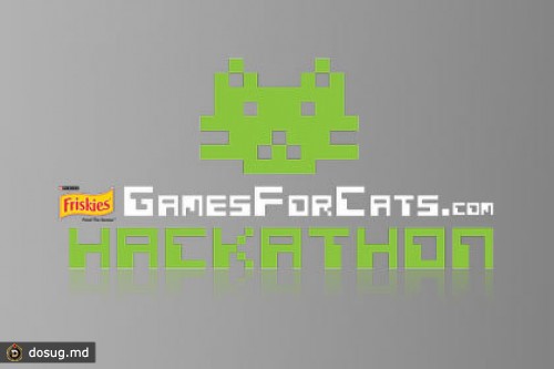 Гейм-дизайнерам предложили разработать игры для кошек