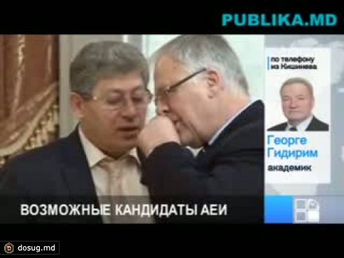 Гидирим, Стурза и Пушкаш комментируют свои кандидатуры на пост президента