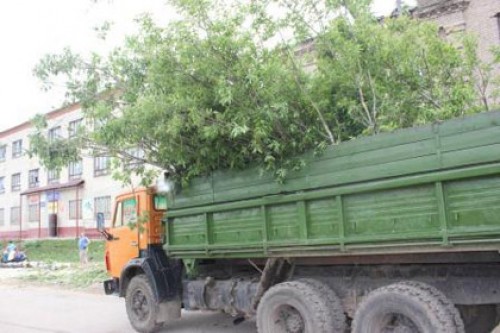Губернатор назвал сумму компенсаций пострадавшим жителям Ефремова