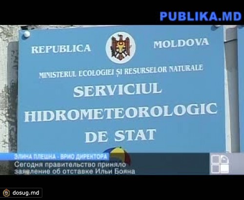 И.о. директора ГМС назначена Элина Плешка