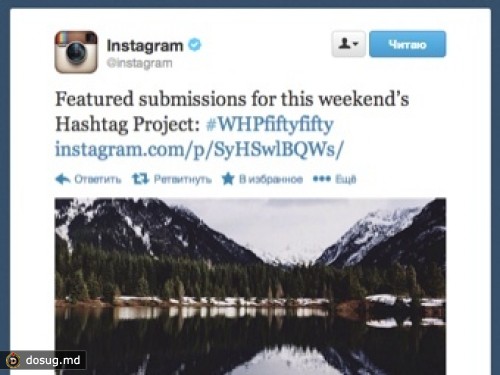 Instagram оставил Twitter без предпросмотра фотографий