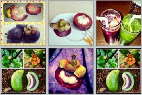 Instagram подвергся атаке фруктовых спамеров