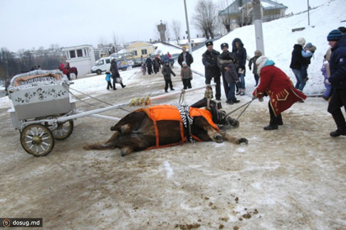 Ивановская прокуратура разобралась с мертвой лошадью Деда Мороза