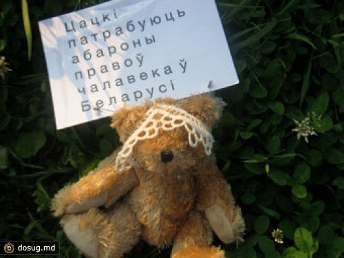 Из-за фото плюшевых мишек белорусским сайтом заинтересовался КГБ