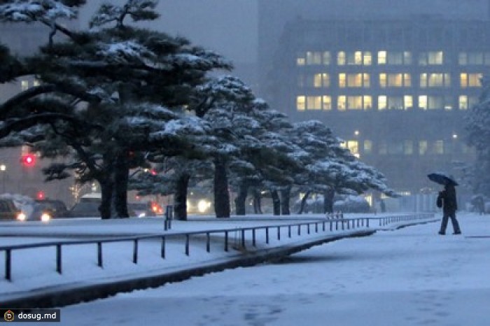Из-за снегопадов в Японии погибли десять человек