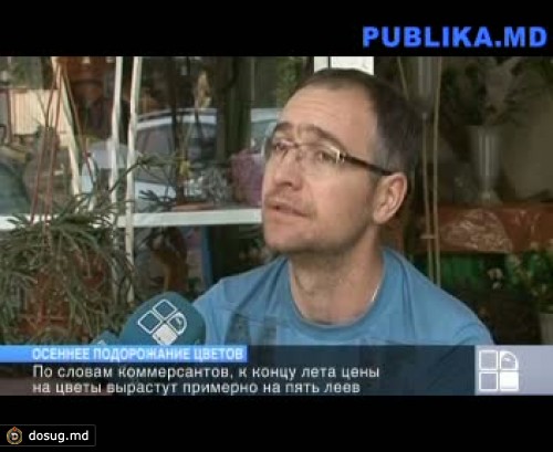К концу лета цены на цветы вырастут