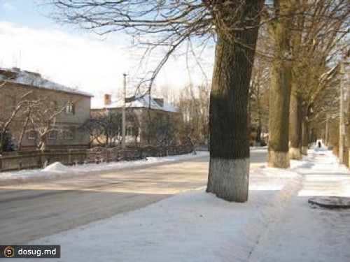 Калининградский бизнесмен напал на чиновницу с ножом