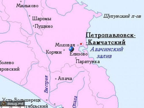 Камчатский депутат избил посетителя бара за отказ поздороваться