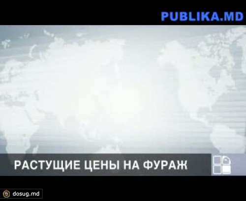 Килограмм куриного мяса подорожал с 29 до 34 леев