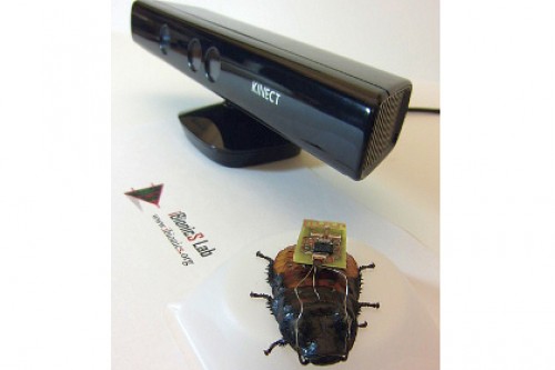 Kinect помог создать автопилот для тараканов