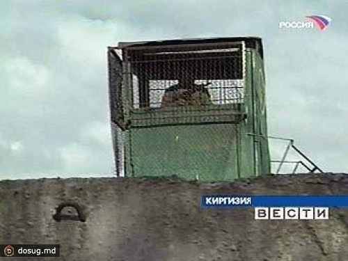 Киргизские заключенные устроили голодовку из-за запрета на проституток