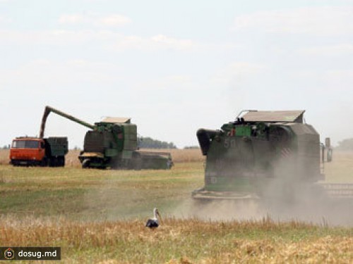 Китай потратит 3 миллиарда долларов на украинский аграрный сектор