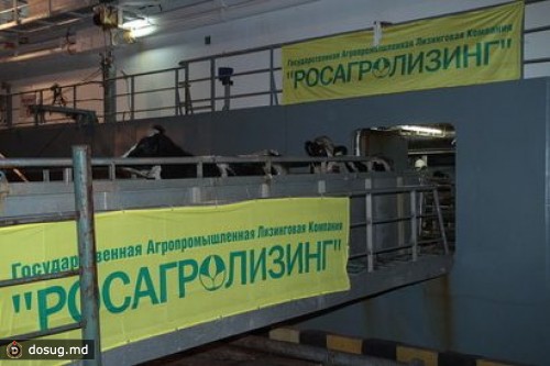 Ключевой свидетель по делу «Росагролизинга» дал показания из Таиланда