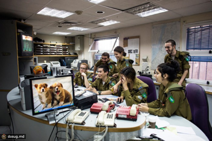 Компьютеры минобороны Израиля взломали «от имени» службы безопасности