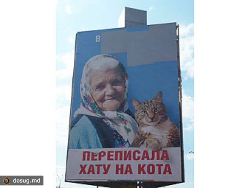 Кота с украинского билборда лишили статуса оппозиционера