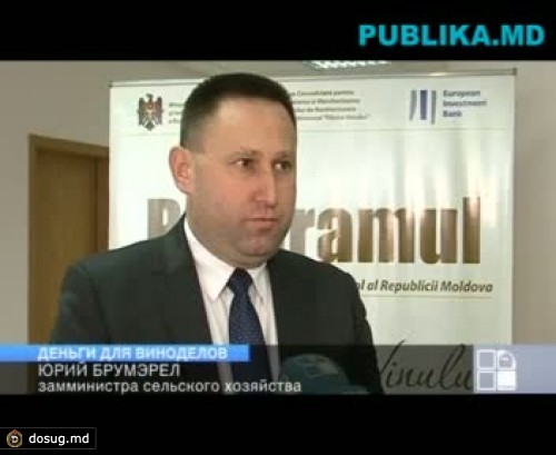 Кредит от ЕИБ на реструктуризацию виноградарства отрасли не поможет, считают эксперты