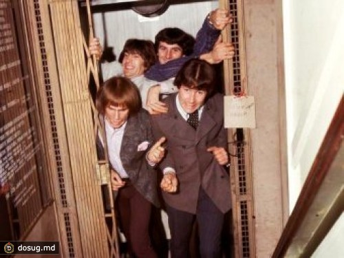 Лидер The Troggs бросил музыку из-за болезни