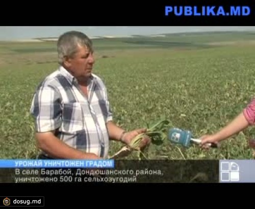 Местные власти не в состоянии компенсировать потери сельхозпроизводителей