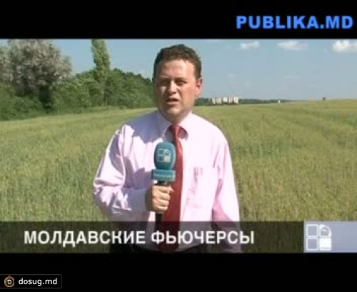 Минсельхоз призывает производителей начать заключать контракты на покупку зерна